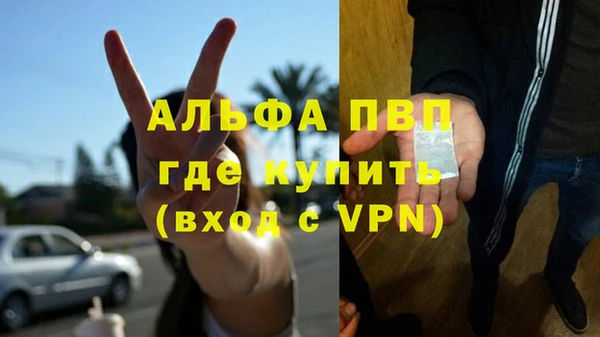 амф Арсеньев