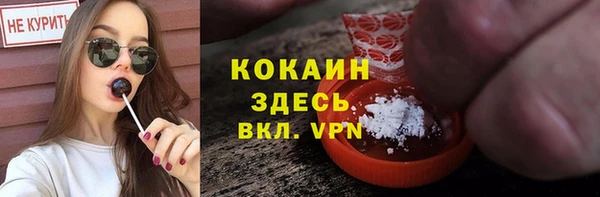 амф Арсеньев